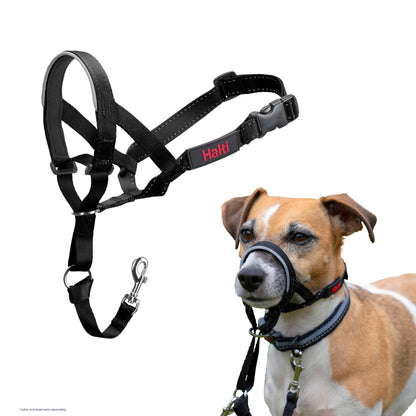 Company of Animals – Halti – Headcollar