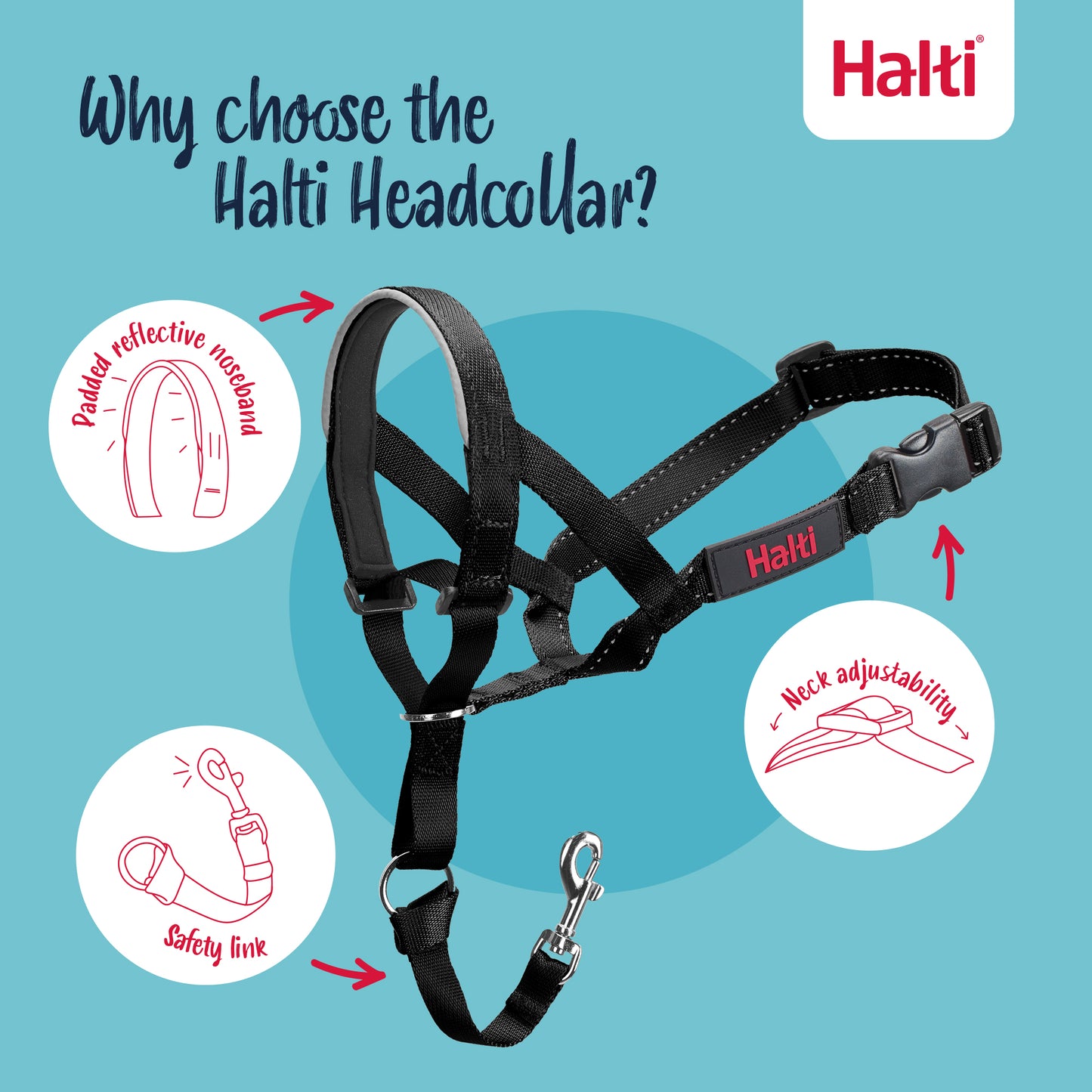 Company of Animals – Halti – Headcollar