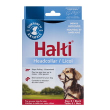 Company of Animals – Halti – Headcollar