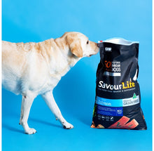 SavourLife - Adult Dog Grain Free Australian Salmon