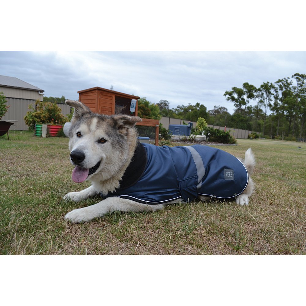 ZeeZ – Waterproof Dapper Dog Coat – Old Navy
