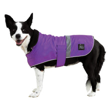 ZeeZ – Waterproof Dapper Dog Coat – Royal Purple
