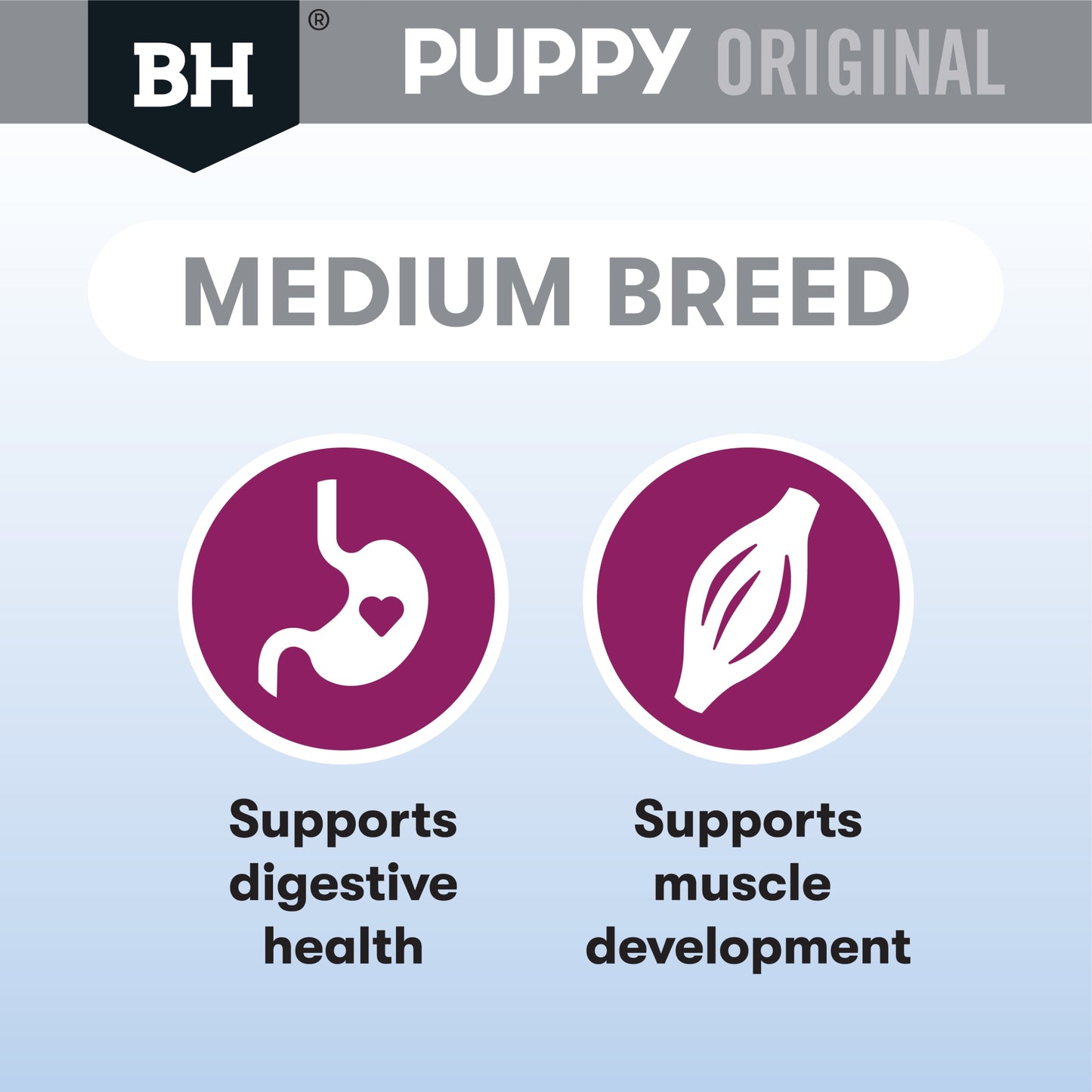 Black Hawk - Puppy Medium Breed Lamb and Rice