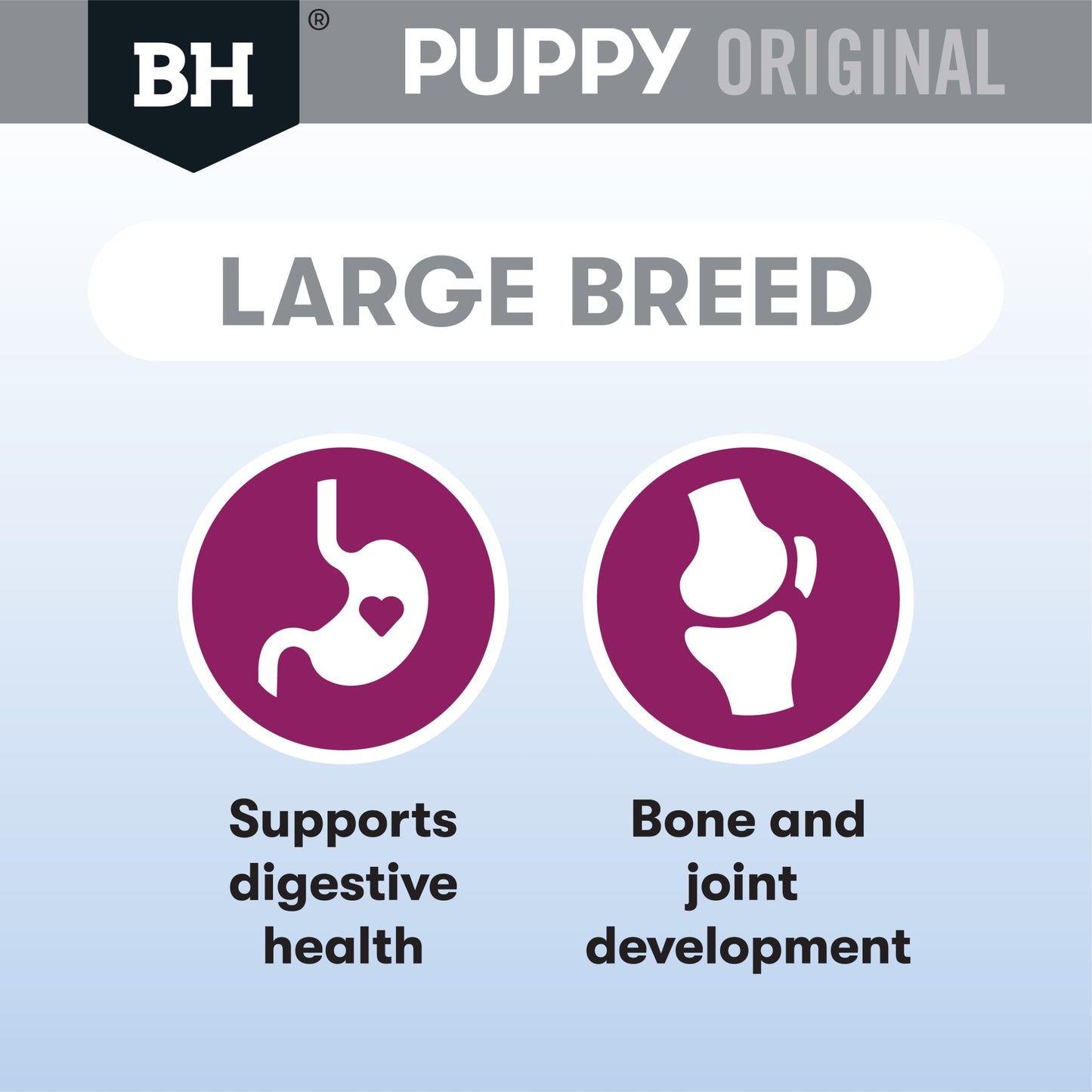 Black Hawk - Puppy Large Breed Lamb and Rice