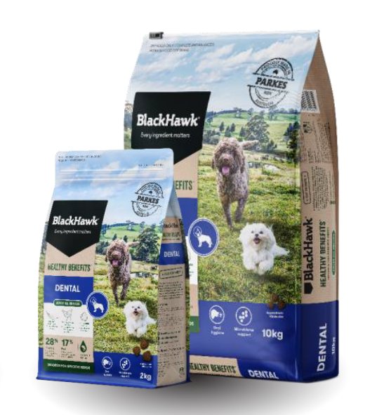 Black Hawk - Adult Healthy Benefits Dental