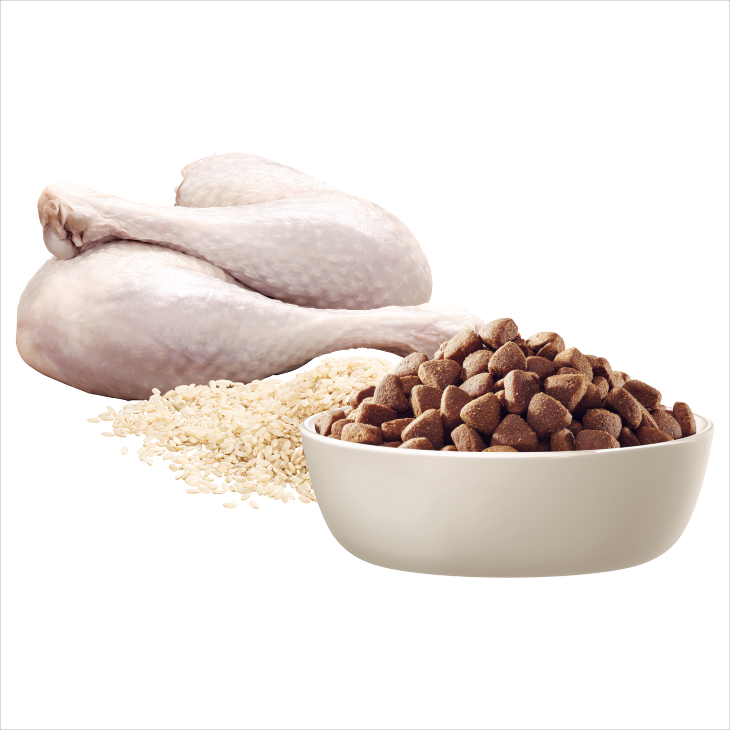 Advance - Adult Dog Large Oodles - Turkey with Rice