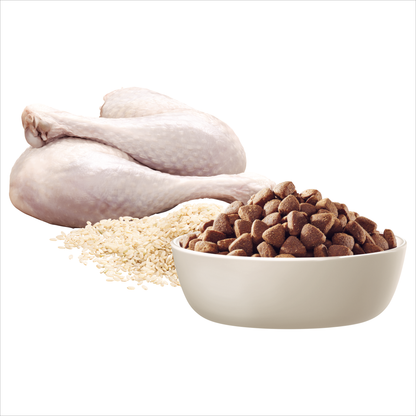 Advance - Adult Dog Large Oodles - Turkey with Rice