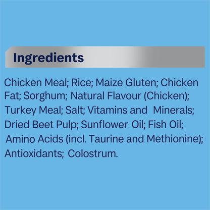 Advance - Kitten Chicken
