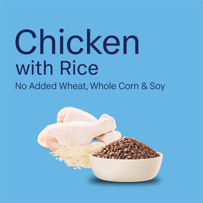 Advance - Kitten Chicken