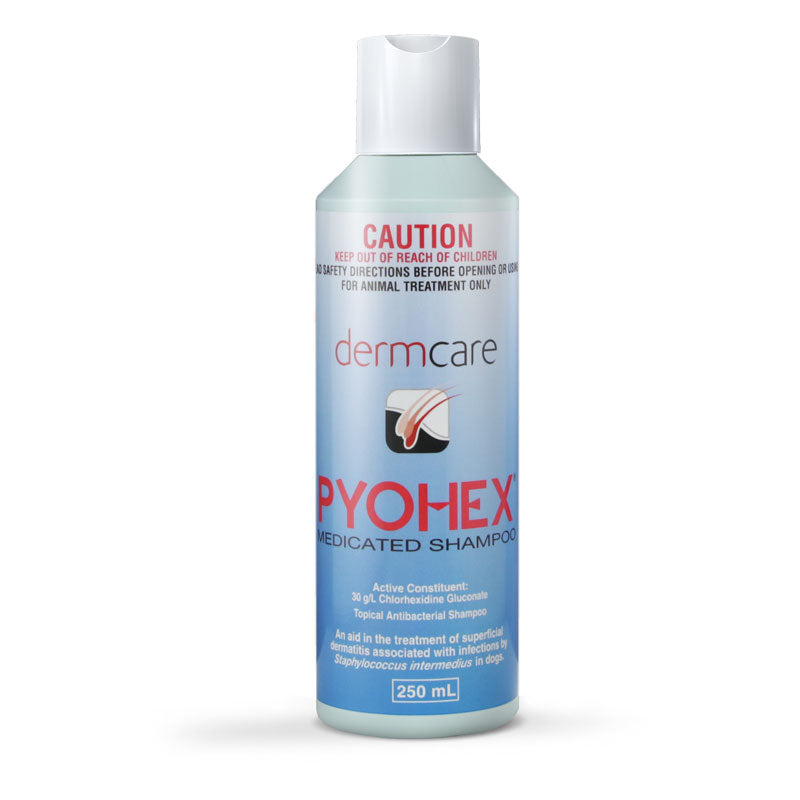 Dermcare - Pyohex Medicated Shampoo - 250ml
