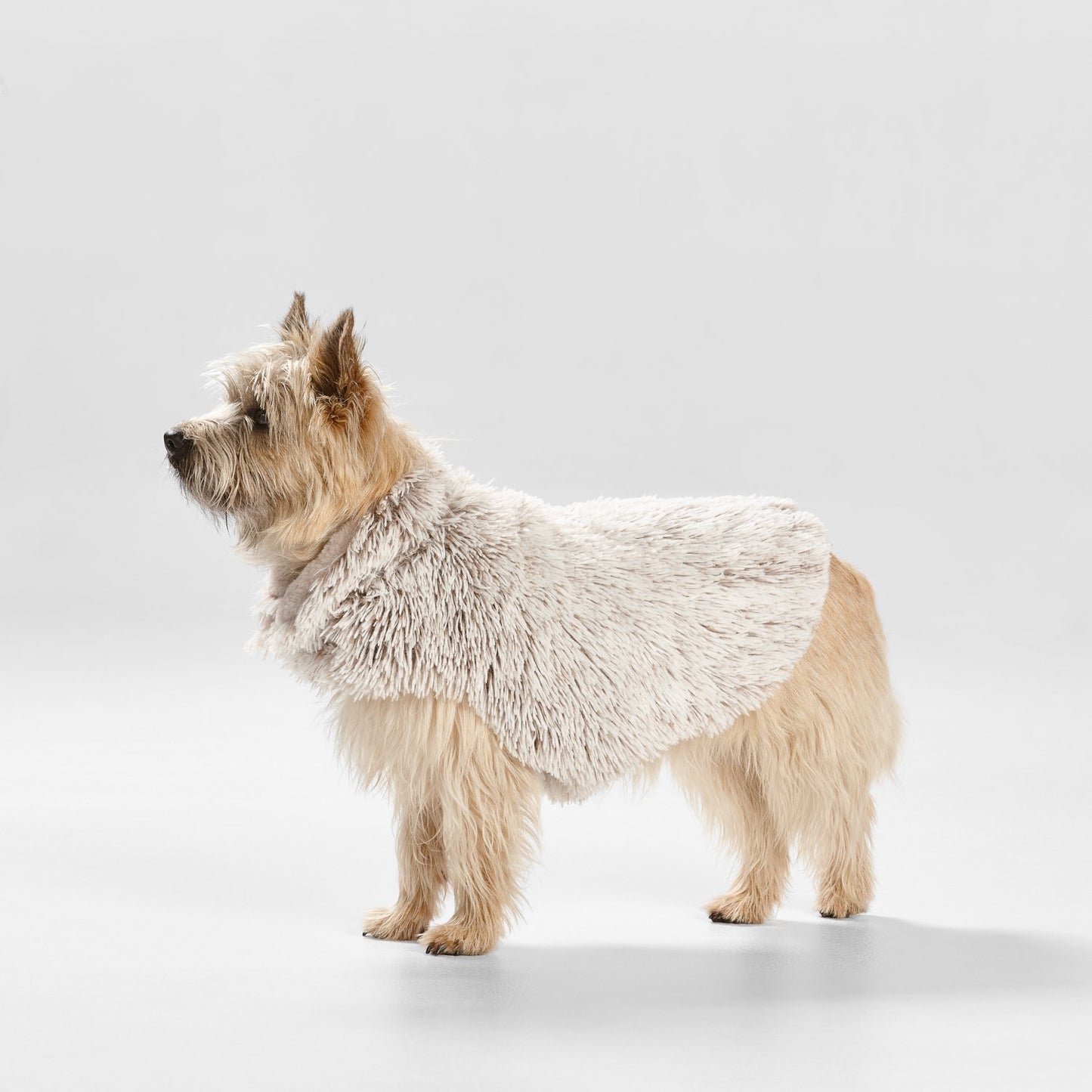 Snooza Wear – Shag Coat – Mink
