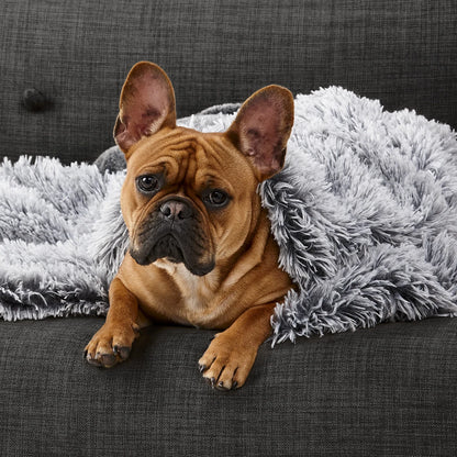Snooza – Calming Cuddler Blanket – Chinchilla & Silver Fox
