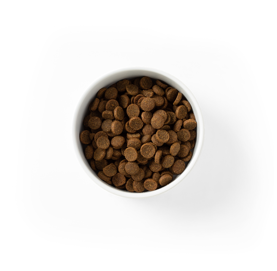 SavourLife - Adult Dog Essentials Australian Beef