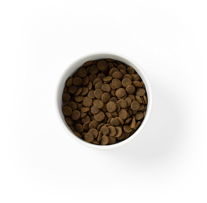 SavourLife - Adult Dog Dog Grain Free Care Plus Sensitive with Australian Ocean Fish
