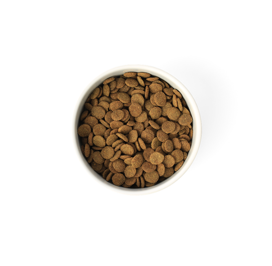 SavourLife - Adult Dog - Grain Free Care Plus Lean with Australian Turkey
