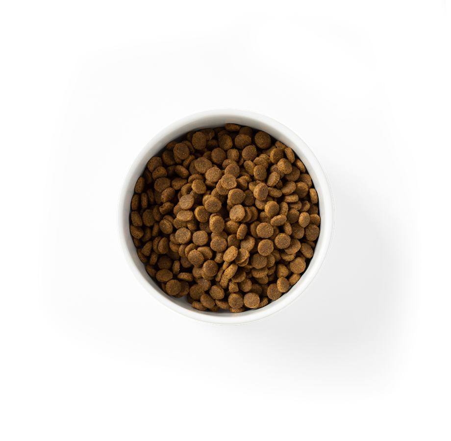 SavourLife - Puppy Grain Free Australian Chicken