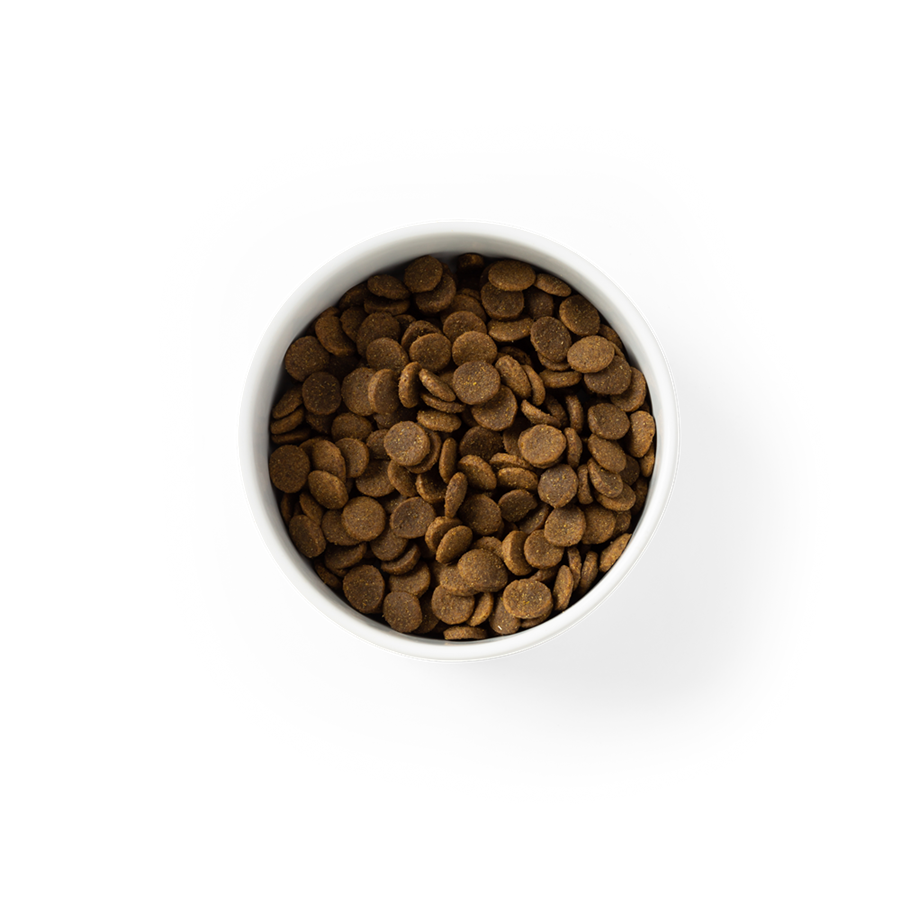 SavourLife - Adult Dog Mature 7+ Grain Free Australian Chicken