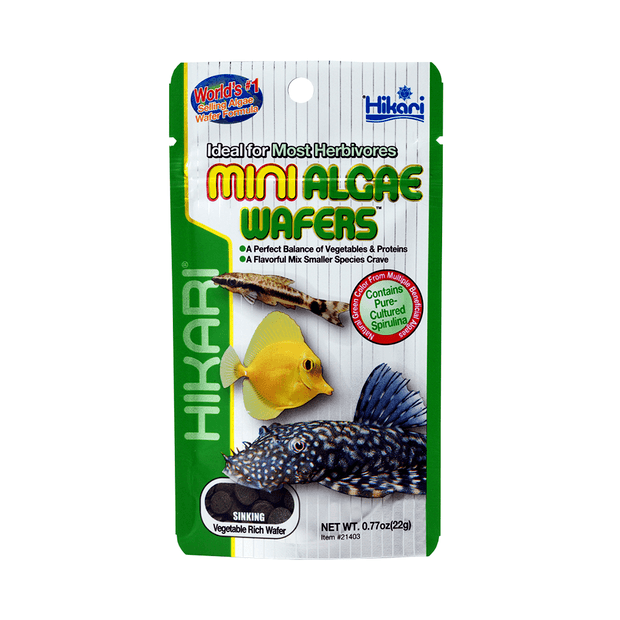 Hikari - Mini Algae Wafers