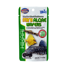 Hikari - Mini Algae Wafers