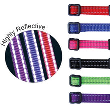 Beau Pets – Puppy – Collar – Reflective Thread – Adjustable