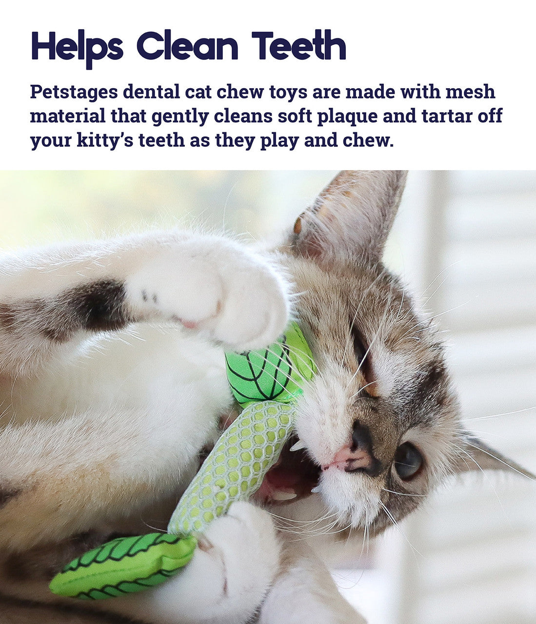Catstages – Fresh Breath Mint Stick