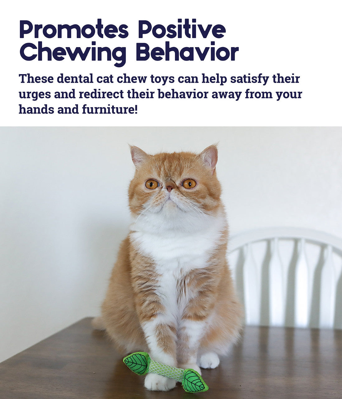 Catstages – Fresh Breath Mint Stick